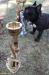 bagna-2012-vruchenie-prizov_57705196323910355542 - www.bagna.su